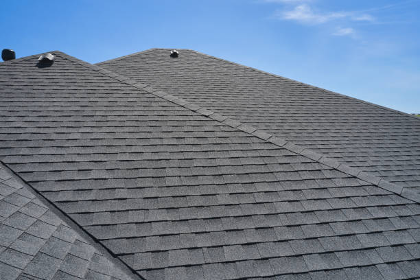 Best Gutter Replacement  in Vicksburg, MI